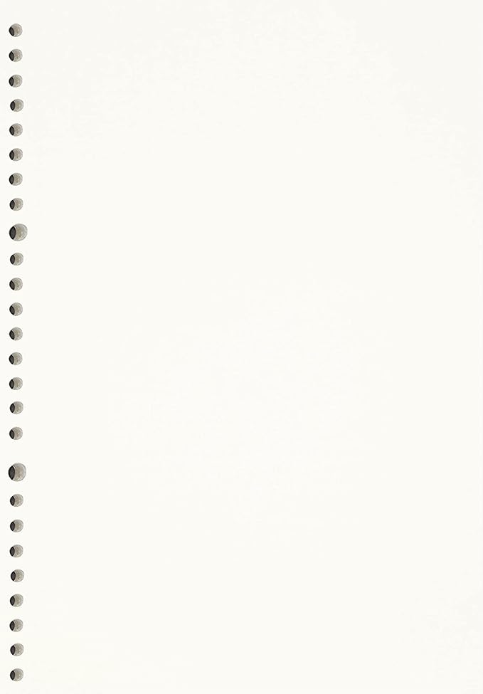 Zelten 2 Pack B5 120 Sheets/240 Pages Blank Loose Leaf Punched Paper Refills Paper for 26 Hole Binder Personal Organizer Diary Notebook Refillable Planner