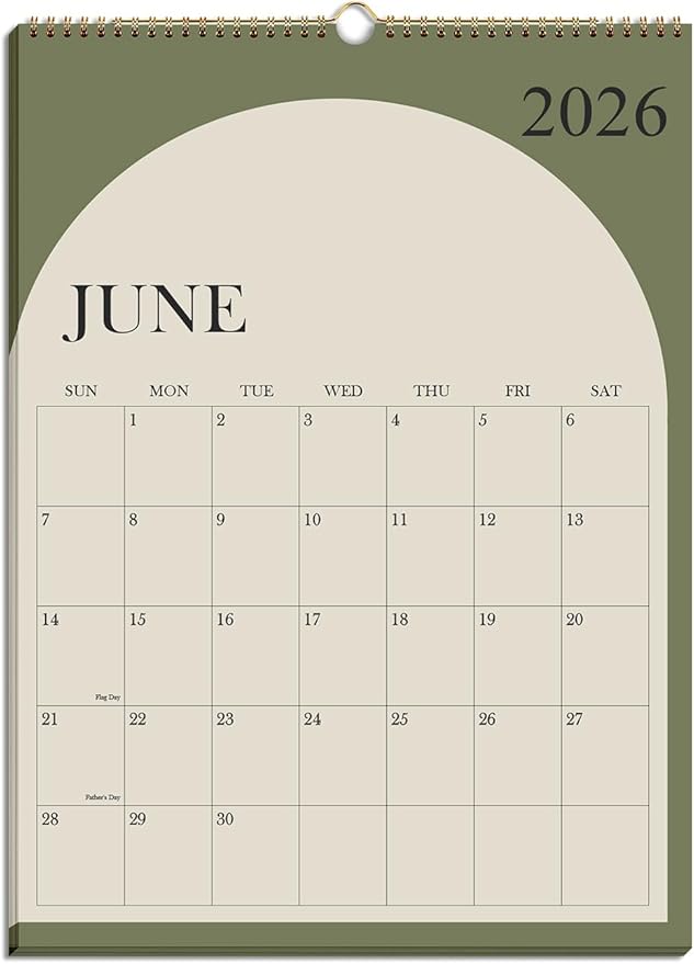 Wall Calendar 2026-2027 - 19 Months Calendar 2026-2027 from June 2026 - December 2027, 2026-27 Wall Hanging Calendar Planner with Thick Paper, 12" x 14.5", Cyan