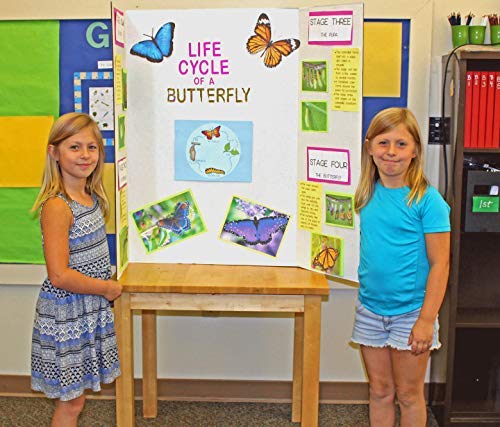 Flipside Products 36” x 48” Project Boards for Presentations, Science Fair, School Projects, Event Displays and Trifold Picture Board, Proudly Made in USA – Bleached White - 24 Pack