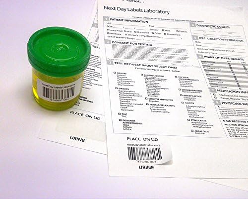 Next Day Labels - Integrated Laser Form with Label Combination (1 Label of 2x1 on Bottom Left/Case of 1500)