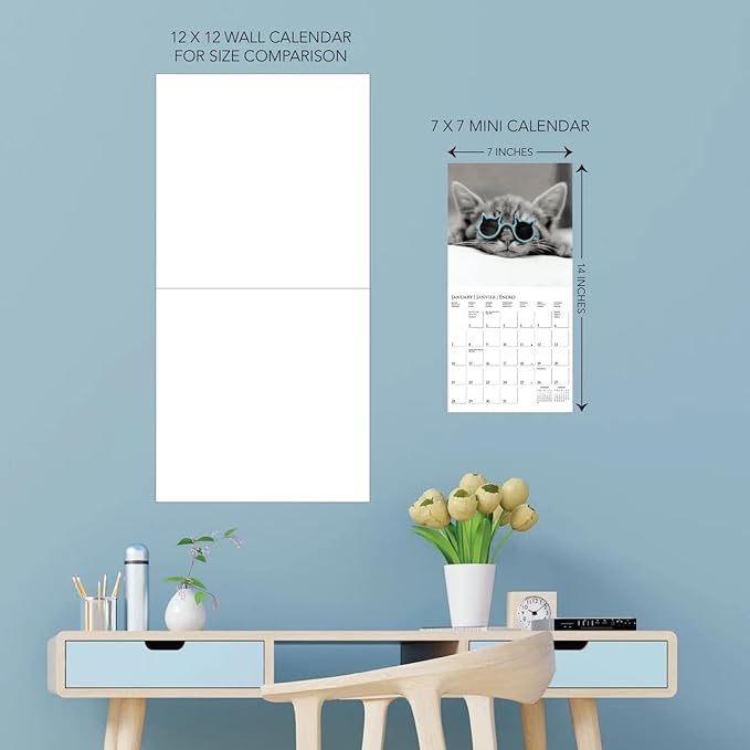Graphique 2024 Classic Cats Mini Wall Calendar | 7” x 7” | Thick Paper | Home & Office Organizer | Large Monthly Grid | 3 Languages & Marked Holidays | 4 Month Preview Page for 2025