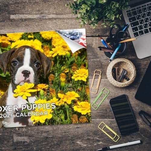2025 2026 Boxer Puppies Calendar - Dog Breed Monthly Wall Calendar - 12" x 18" Open - Thick No-Bleed Paper - Giftable - Academic Teacher's Planner Calendar Organizing & Planning - Made in USA
