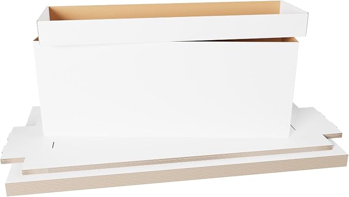 Max Protection Comic Book Storage Box - 10 Count Long ComicBook Boxes with White Corrugated Cardboard - Stackable Bin, Thick Case, Book Containers with Lid - Ideal for Comics, Magazines, Collectibles