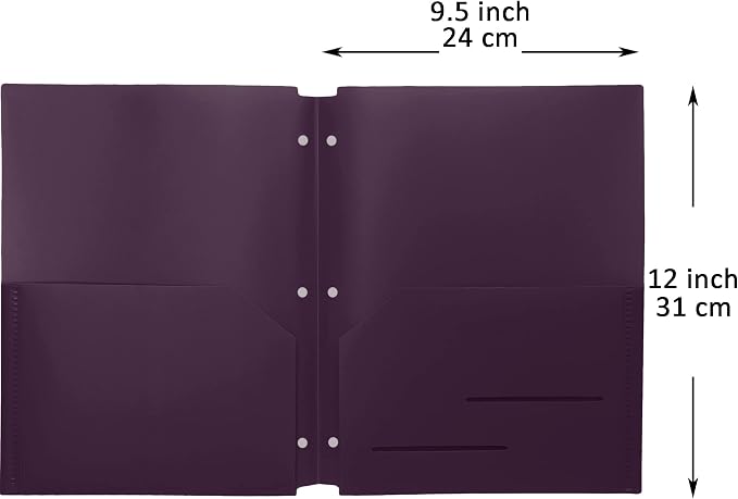 Youngever 6 Pack Heavy Duty Plastic Two Pocket Folders, Binder Dividers with Pocket, 3 Hole Punch Folder with Notches, Binder Folders (Purple)