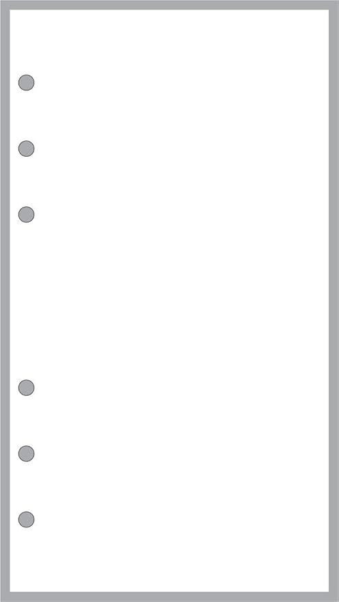 Personal Size Blank Pages Planner Insert, Sized and Punched for Filofax Personal Notebook (3.7" x 6.75")