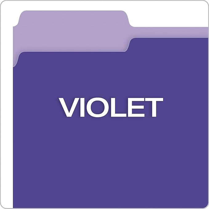 Pendaflex Interior File Folders, 1/3 Cut, Top Tab, Letter Size, Violet, 100 per Box (4210 1/3 VIO)
