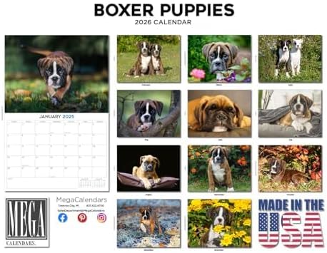 2025 2026 Boxer Puppies Calendar - Dog Breed Monthly Wall Calendar - 12" x 18" Open - Thick No-Bleed Paper - Giftable - Academic Teacher's Planner Calendar Organizing & Planning - Made in USA