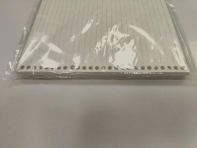 2 Pack A4 4 Holes Page Marker Ruler Plastic Binder Divider for Journal Magazine Notebook (GRuler, A4)