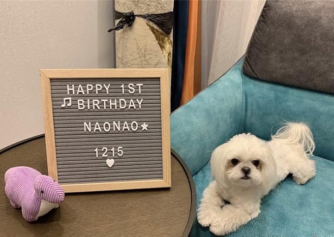 Felt Board Felt Letter Board, 10 x 10 inch Message Board Word Board Letter Board Sign Bulletin Board Letters, Pregnancy Announcements Baby Announcement Sign, Valentines Day Gifts for Her Letterboard (Gray)