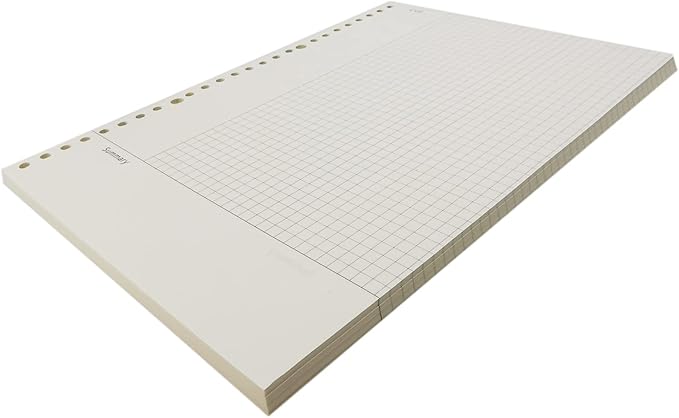 Zelten 2 Pack A4 120 Sheets/240 Pages Connell Loose Leaf Punched Paper Refills Paper for 30 Hole Binder Personal Organizer Diary Notebook Refillable Planner