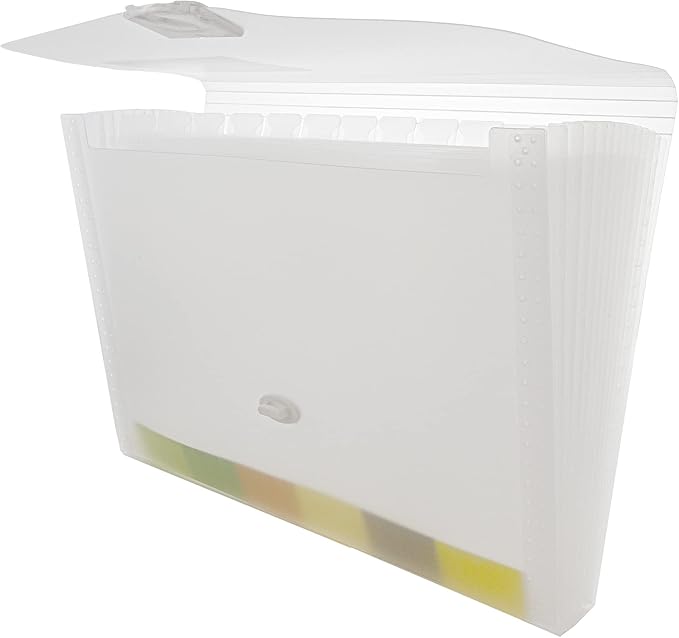 BAZIC Products Translucent 13-Pocket Expanding File, Letter Size, Accordion Poly Body, for School Office Documents