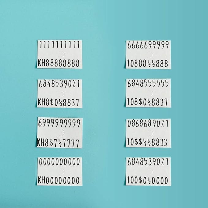 MX-6600 Professional Price Marker with 2 Lines & 20 Bits. Price Tag Marker Kit for Retail, Office, Grocery Store & Organization Marking (Blue)