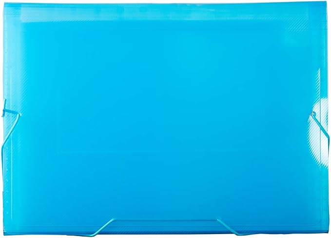 JAM PAPER Accordion Folders - 13 Pocket Plastic Expanding File - Letter Size - 9 x 13 - Blue Grid - Sold Individually