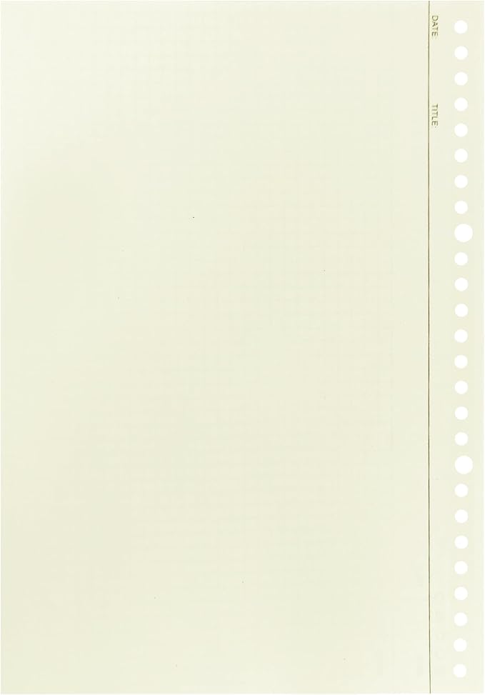 Zelten 2 Pack B5 120 Sheets/240 Pages Connell Blank Loose Leaf Punched Paper Refills Paper for 26 Hole Binder Personal Organizer Diary Notebook Refillable Planner