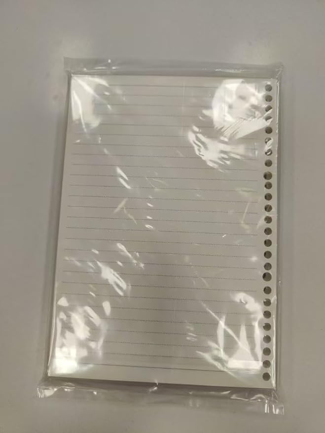 2 Pack A4 4 Holes Page Marker Ruler Plastic Binder Divider for Journal Magazine Notebook (GRuler, A4)