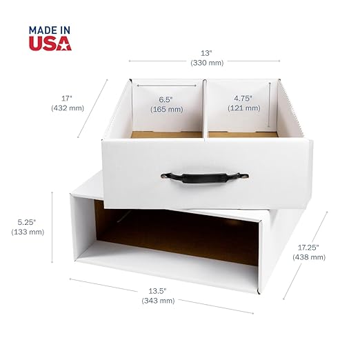 APOTHECARY PRODUCTS Single File Organizer & Drawer, Storage for Paper, Files, Prescriptions, 2 Compartments, White, 13 1/2" x 5" x 17 1/4", Made in the USA