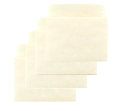 Hygloss Products Manila Library Pockets – Non-Adhesive Pocket Envelopes Made in the USA – 3 x 3.5 Inches, 40 Pack