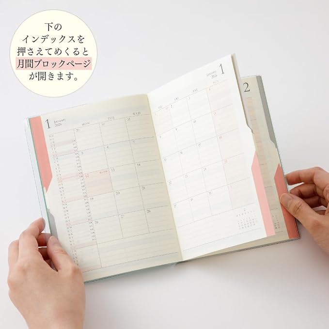 Midori Double Schedule 2026 B6 Monthly Limited Edition Bookmark Money, Teal 22386006 (Starts October 2025)