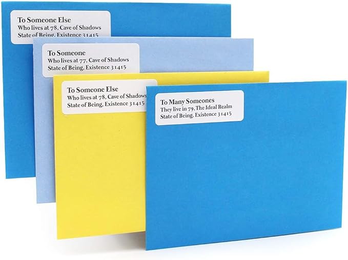 ChromaLabel 1 x 3 Inch Printable Labels, Office Label & Stickers Compatible with Laser and Inkjet Printers - 25 Label Sheets, 500 Labels for Printer, White