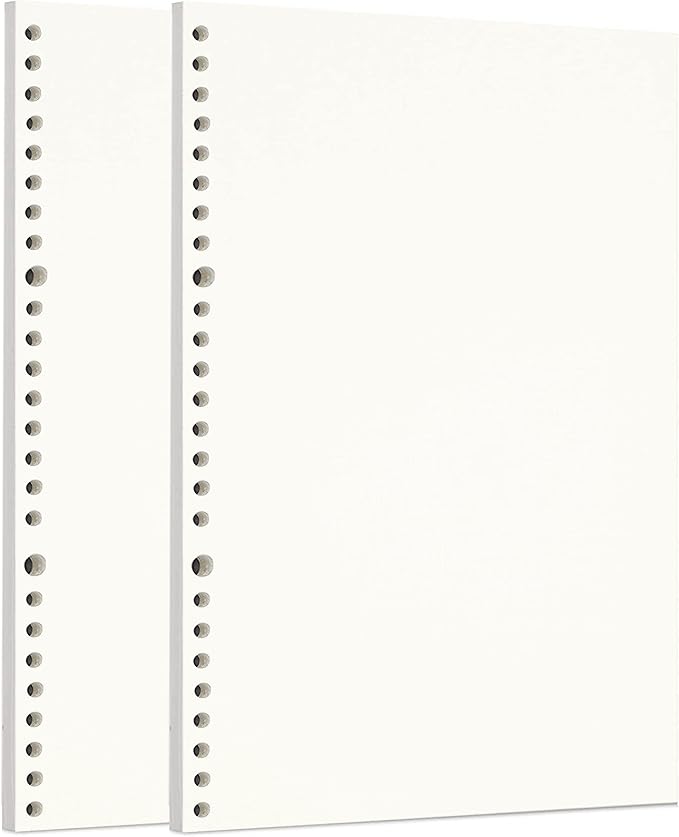 Zelten 2 Pack B5 120 Sheets/240 Pages Blank Loose Leaf Punched Paper Refills Paper for 26 Hole Binder Personal Organizer Diary Notebook Refillable Planner