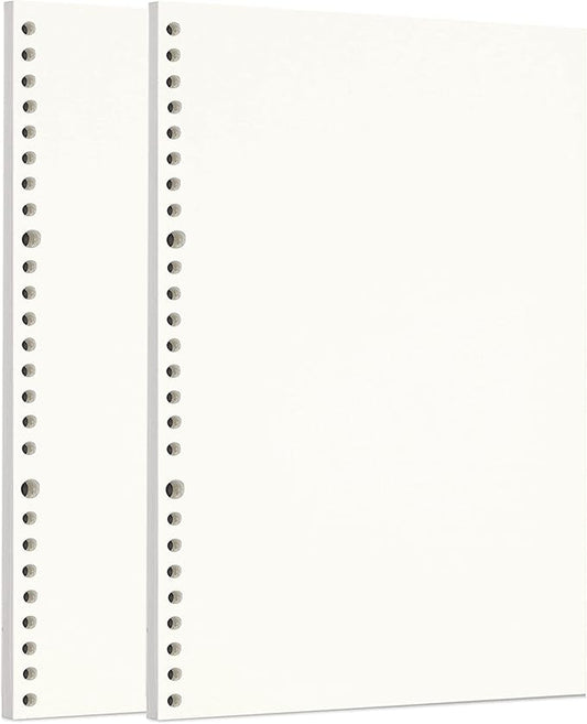 Zelten 2 Pack B5 120 Sheets/240 Pages Blank Loose Leaf Punched Paper Refills Paper for 26 Hole Binder Personal Organizer Diary Notebook Refillable Planner