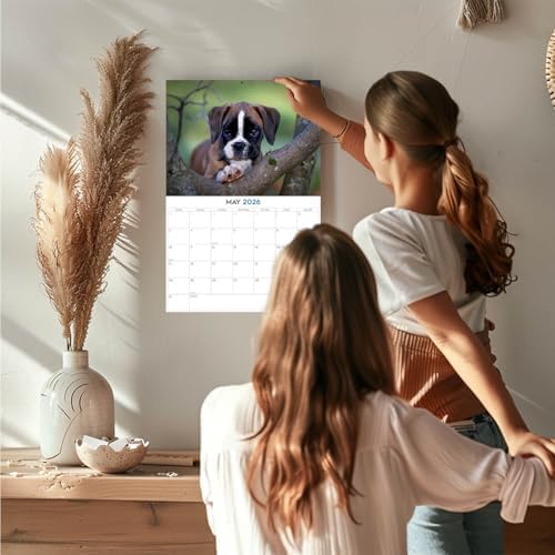 2025 2026 Boxer Puppies Calendar - Dog Breed Monthly Wall Calendar - 12" x 18" Open - Thick No-Bleed Paper - Giftable - Academic Teacher's Planner Calendar Organizing & Planning - Made in USA