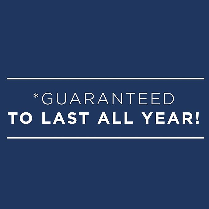 AT-A-GLANCE 2024 Monthly Planner, 7" x 8-3/4", Medium, DayMinder, Black (G4000024)
