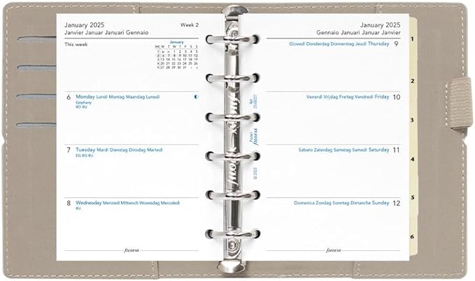 Filofax Domino Organizer, Pocket Size, Grey - Smooth, Leather-Look Grain Effect, Contrast Stitching, Six Rings, Week-to-View Calendar Diary, Multilingual, 2025 (C022611-25)