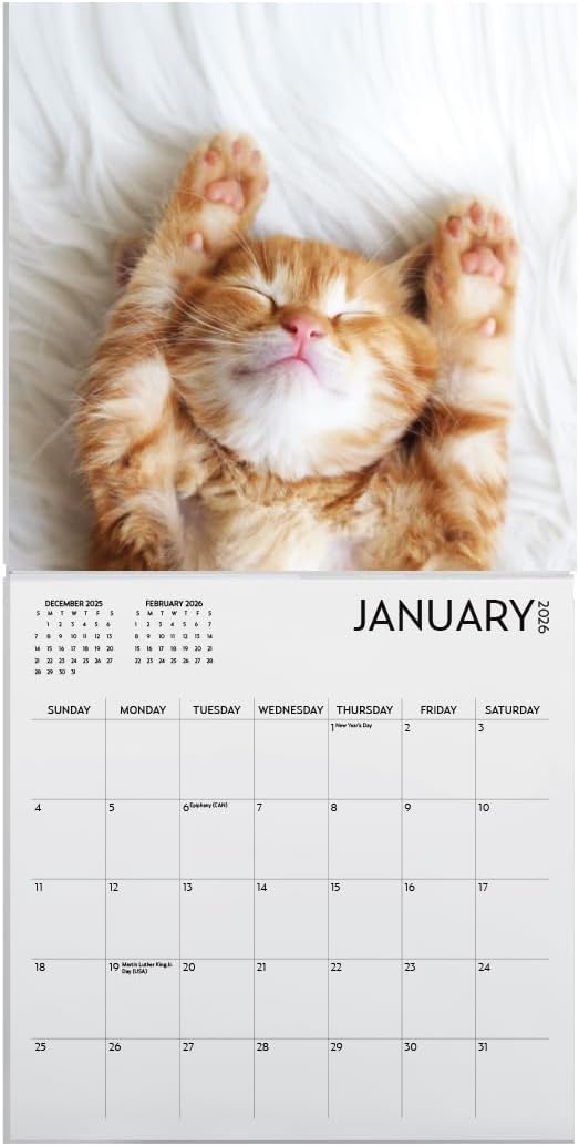 Kitten Calendar 2026, Kitten Square Large Wall Calendar 12 x 12 inch, Yearly Cat Lover's Calendar