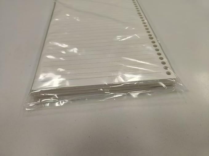 2 Pack A4 4 Holes Page Marker Ruler Plastic Binder Divider for Journal Magazine Notebook (GRuler, A4)