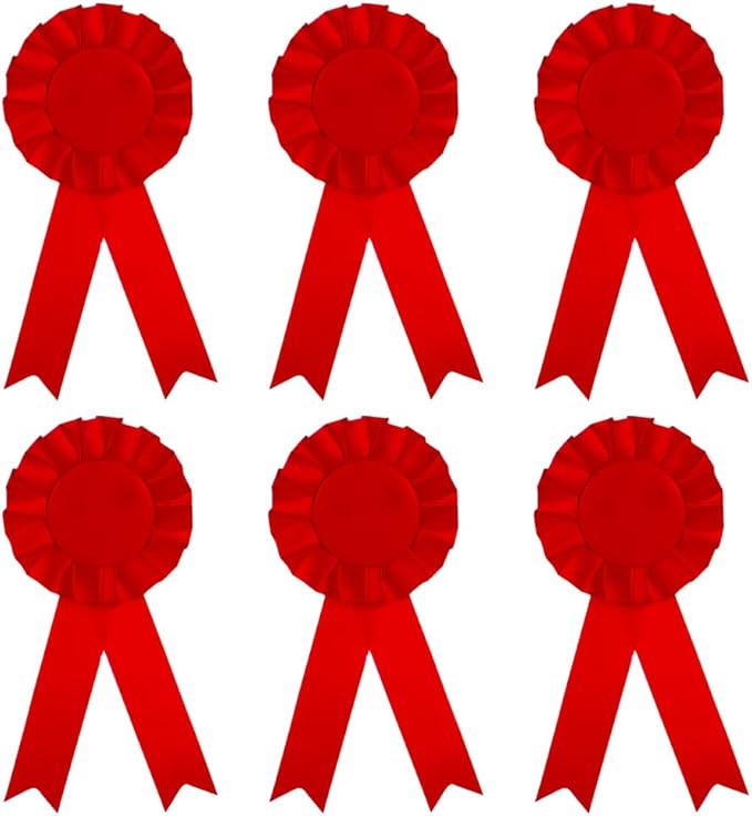 6 Pcs Award Rosette Ribbons Blank Prize Ribbons Medal Winner Ribbons Participation Victory Ribbons Recognition Competition Ribbons Red