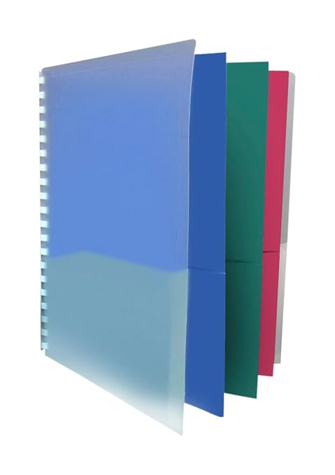 School Smart 8-Pocket Project Organizer, Polypropylene, Multicolor, 1 Count (Pack of 1)