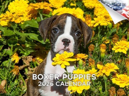 2025 2026 Boxer Puppies Calendar - Dog Breed Monthly Wall Calendar - 12" x 18" Open - Thick No-Bleed Paper - Giftable - Academic Teacher's Planner Calendar Organizing & Planning - Made in USA
