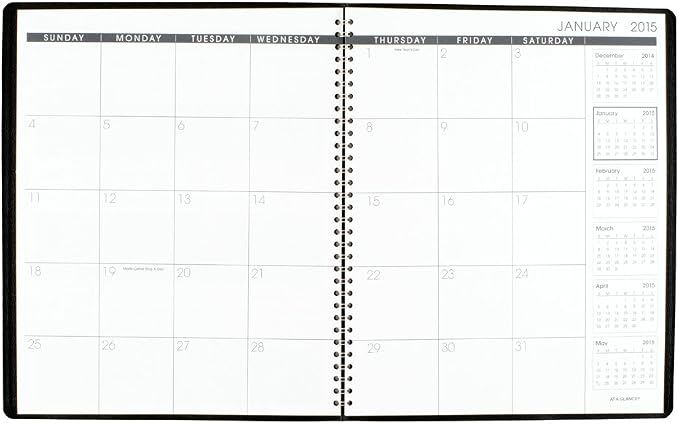 At-A-Glance 8.88 x 11 Inches Wirebound Monthly Planner for 2015, Black (7026005)
