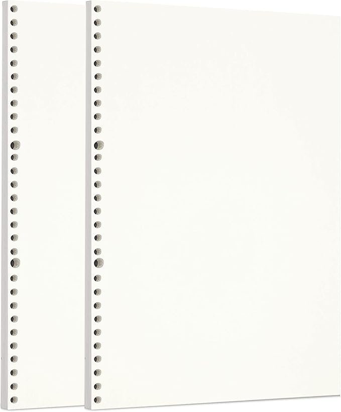 Zelten 2 Pack A4 90 Sheets/180 Pages Blank Loose Leaf Punched Paper Refills Paper for 30 Hole Binder Personal Organizer Diary Notebook Refillable Planner