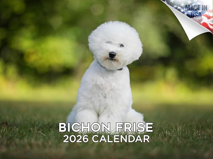 2025 2026 Bichon Frise Calendar - Dog Breed Monthly Wall Calendar - 12" x 18" Open - Thick No-Bleed Paper - Giftable - Academic Teacher's Planner Calendar Organizing & Planning - Made in USA
