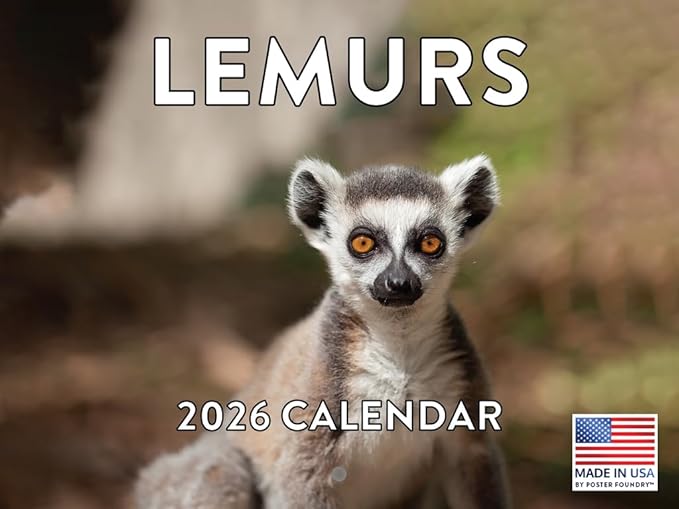 Lemur Calendar 2026 Monthly Wall Calender 12 Month | American Made In The USA