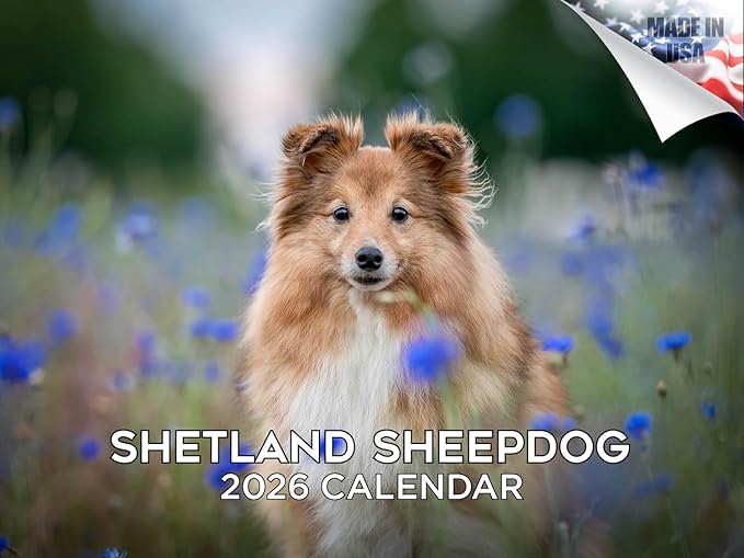 2025 2026 Shetland Sheepdog Calendar - Dog Breed Monthly Wall Calendar - 12" x 18" Open - Thick No-Bleed Paper - Giftable - Academic Teacher's Planner Calendar Organizing & Planning - Made in USA