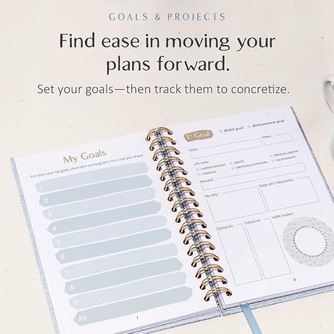 The ADHD Planner - Undated Daily Weekly Schedule Organizer Journal for Disorganized People - Habit Tracker Record Emotions & Mood - Academic Goals - Structure & Focus for Adults Brains (Spiral)