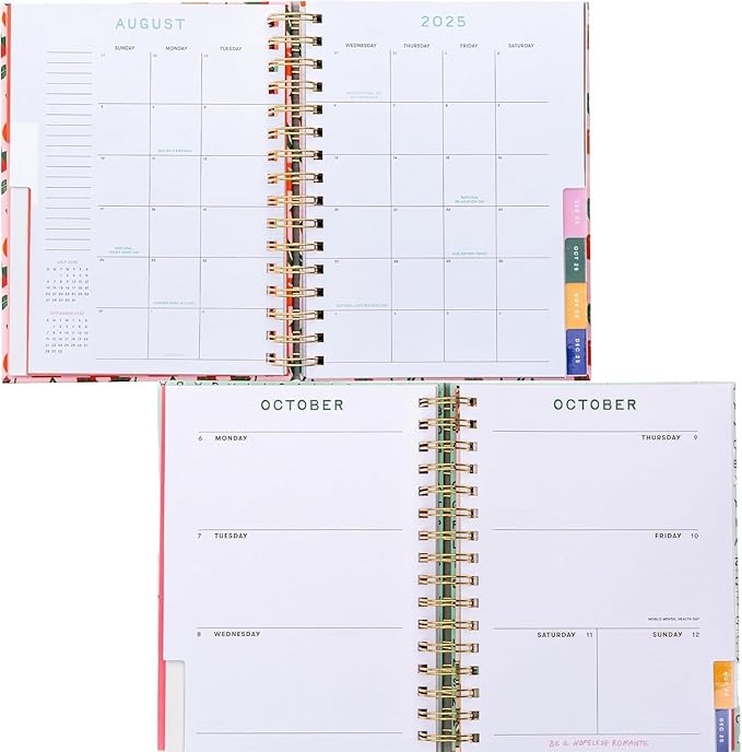 ban.do 17-Month Medium Daily and Weekly Planner August 2025 - December 2026, Hard Cover Spiral Agenda with Monthly Calendar, Stickers, Art & Bonus Pages (Mid Century)