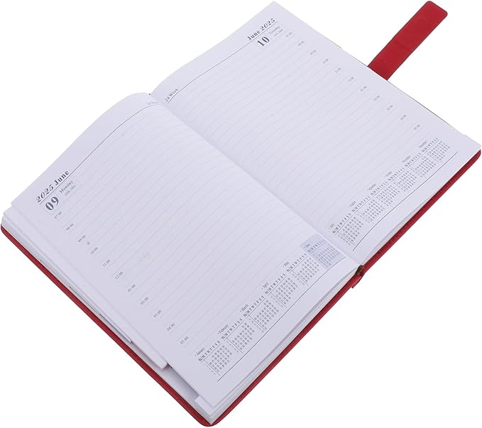 KALLORY Daily Planner with Tabs Monthly Calendar for Students Professionals Thick Paper Stylish Design Important Notes Section Management Tool