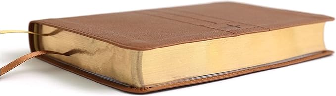 Personalized NIV Small Compact Bible New International Version Faux Leather Holy Bible Small Print with Debossed Custom Name Up to 2 Rows of Text, Gift for Christian & Religious Celebrations, Brown