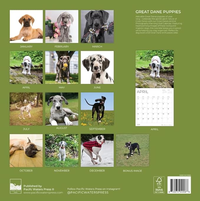 Great Dane Puppy 2026 Wall Calendar | 12" x 24" Open | Dog Photography Thick & Sturdy Paper for Organizing & Planning | Office Kitchen Decor or Gift | Pacific Waters Press (Great Dane Puppies)