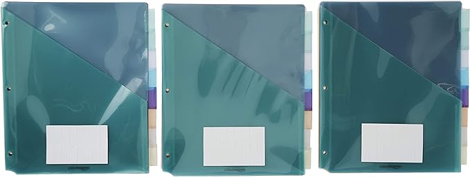 Amazon Basics Tab Dividers for 3 Ring Binder, Two Pocket, Letter Size, Transparent Assorted Colors, 24 Count
