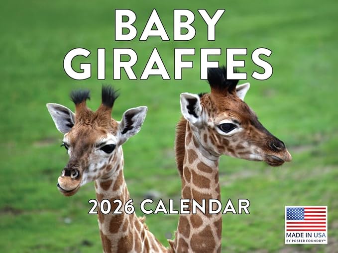Baby Giraffe Calendar 2026 Monthly Wall Calender 12 Month | American Made In The USA