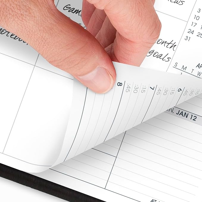 AT-A-GLANCE 2025 Appointment Book Planner, Weekly & Monthly, 8-1/4" x 11", Quarter-Hourly, Triple View, Black (70950V0525)