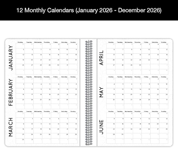 Dated Annual Color Your Year 2026 Planner, Full Calendar Year, Large (8.5" by 11")
