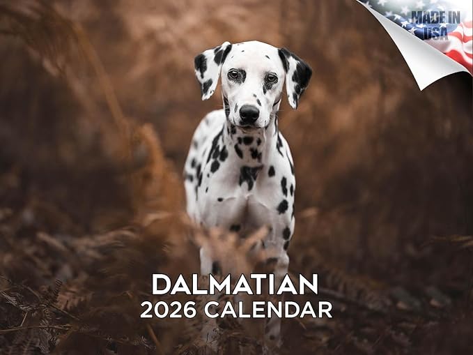 2025 2026 Dalmatian Calendar - Dog Breed Monthly Wall Calendar - 12" x 18" Open - Thick No-Bleed Paper - Giftable - Academic Teacher's Planner Calendar Organizing & Planning - Made in USA