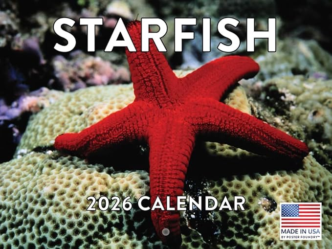 Starfish Calendar 2026 Monthly Wall Calender Gifts 12 Month | American Made In The USA