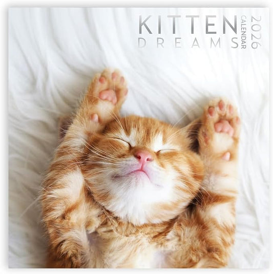Kitten Calendar 2026, Kitten Square Large Wall Calendar 12 x 12 inch, Yearly Cat Lover's Calendar